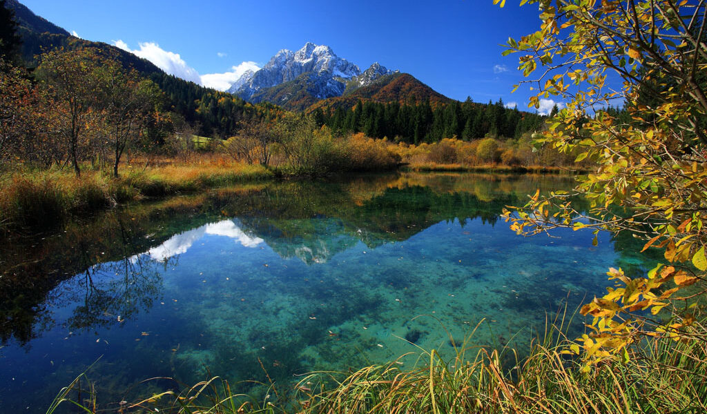 12 Naturreservat Zelenci © Krajnska Gora Tourist Board 12 Naturreservat Zelenci © Krajnska Gora Tourist Board