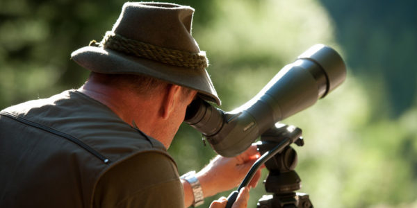 Wildtiersafari ©Franz GERDL