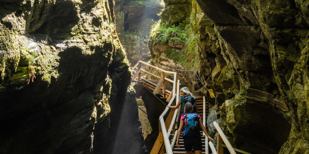 322-20 ©FRANZGERDL NPHT-Flattach _7933