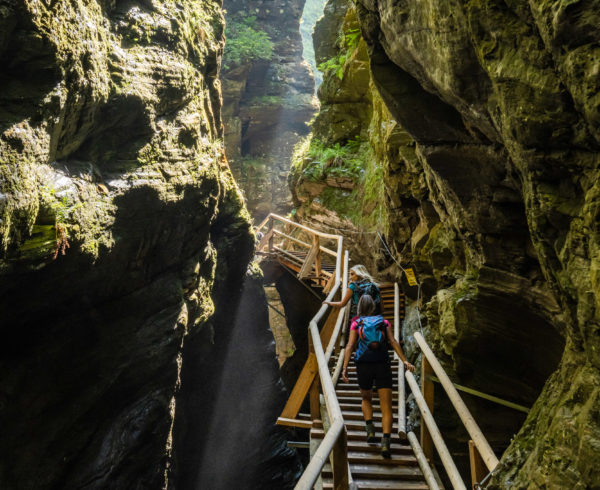 322-20 ©FRANZGERDL NPHT-Flattach _7933