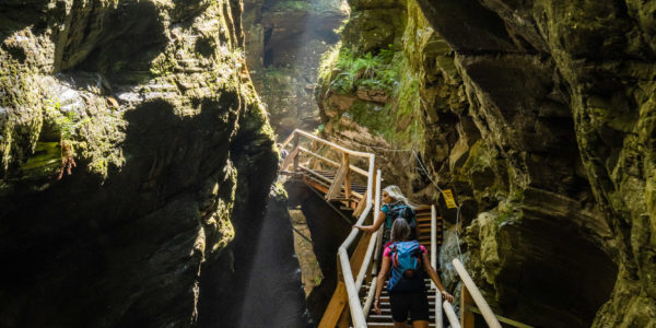 322-20 ©FRANZGERDL NPHT-Flattach _7933