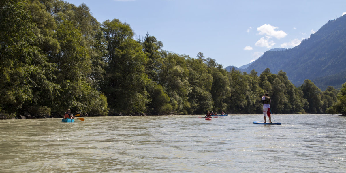 DrauPaddelweg Oberkärnten_Foto Anita Arneitz (38)