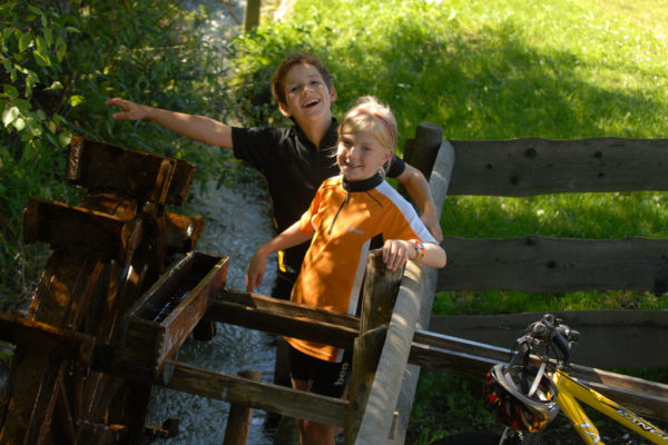 DT_RAD-07 ©franzgerdl.com (33)