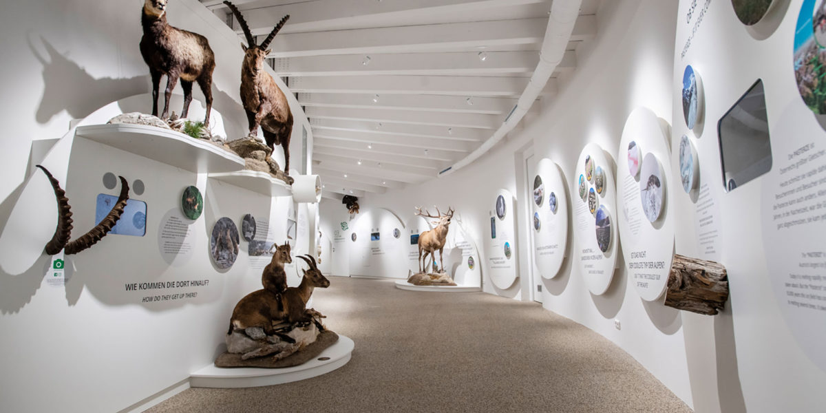 Besucherzentrum Mallnitz - Karlheinz Fessl - karlheinzfessl.com Besucherzentrum Mallnitz - Karlheinz Fessl - karlheinzfessl.com