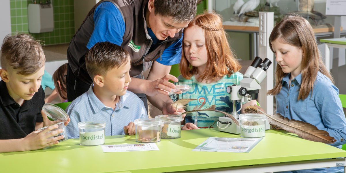 rangerlab inspiration©karlheinzfessl.com rangerlab inspiration©karlheinzfessl.com