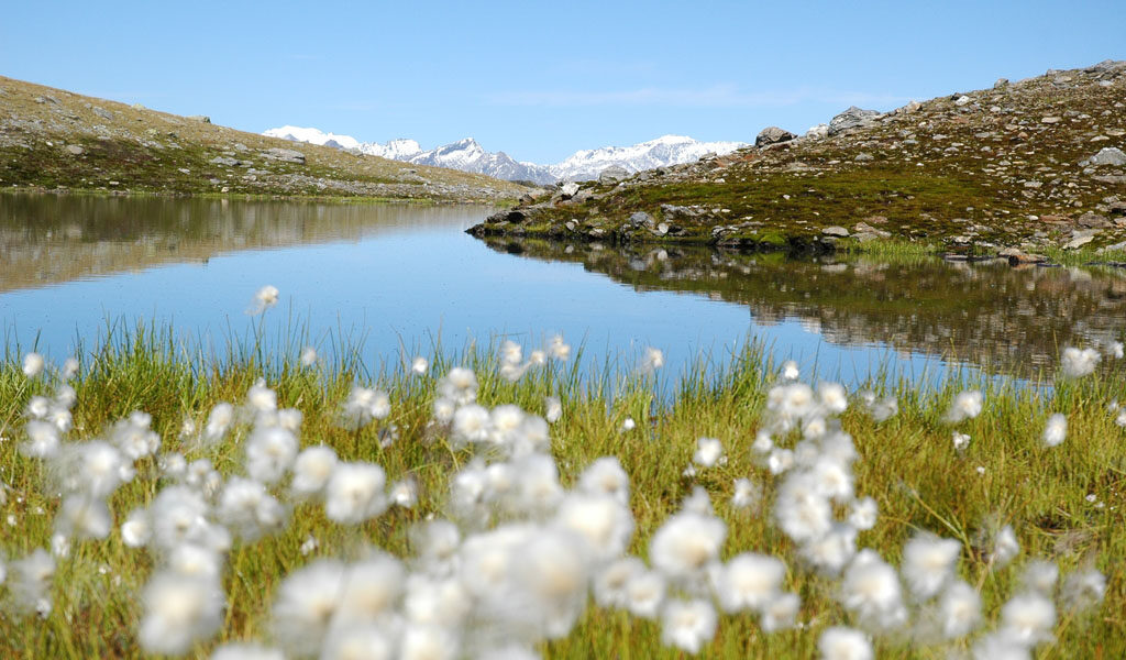 Kreuzeck-Höhenweg25 - NPHTK Kreuzeck-Höhenweg25 - NPHTK