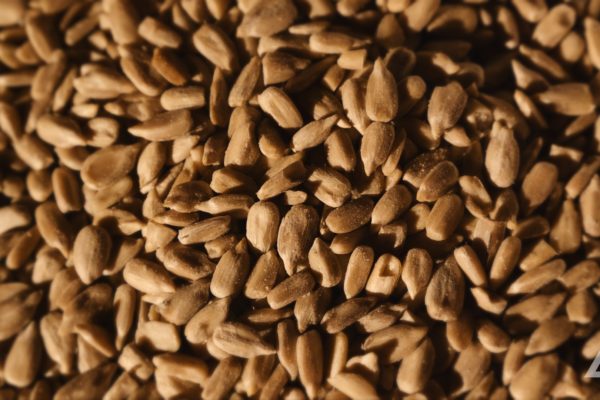 Bauernladen-Walter__1.4.1