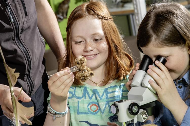 Besucherzentrum-Mallnitz2 Besucherzentrum-Mallnitz2