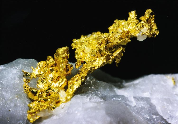 Putzenhof4 Putzenhof4