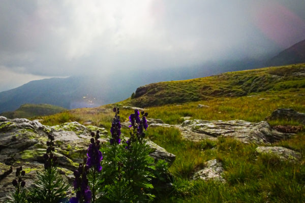 5 Wenn sich der Nebel lichtet Kreuzeck Höhenweg Schütt