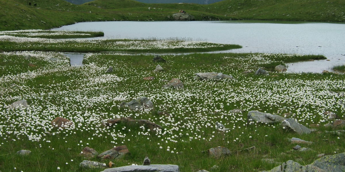 Wandern_Elberfelderhuette - Langtalseen_Nationalpark_Hohe_Tauern9 Wandern_Elberfelderhuette - Langtalseen_Nationalpark_Hohe_Tauern9