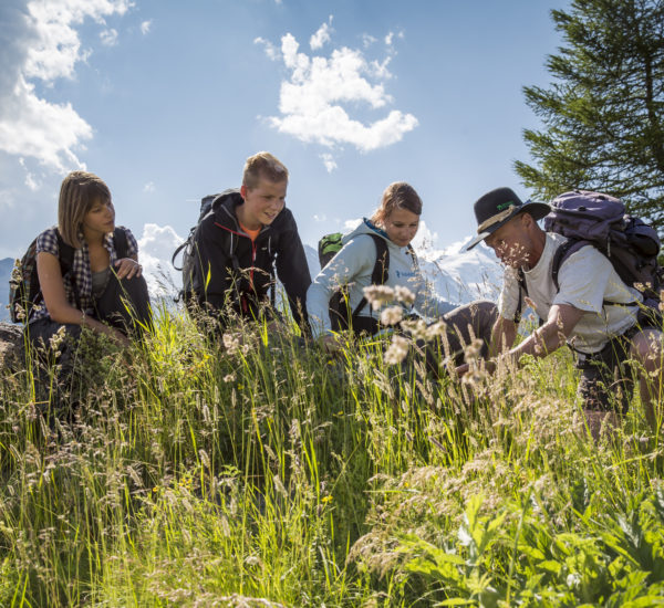 Nationalpark Hohe Tauern 2013-07 Shooting für den Nationalpark Hohe Tauern