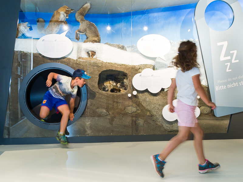 WEB__5HP4116_mit_Grundbearbeitung_HPhoto_Hannes_Pacheiner WEB__5HP4116_mit_Grundbearbeitung_HPhoto_Hannes_Pacheiner