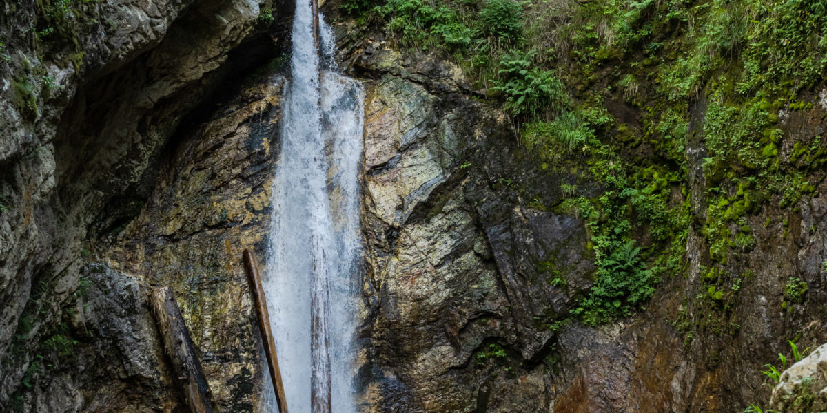 369-20 ©FRANZGERDL NPHT-Flattach _8348