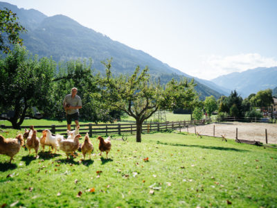BioBauernhof Auernig BioBauernhof Auernig