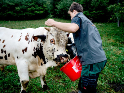 Langnerhof Langnerhof