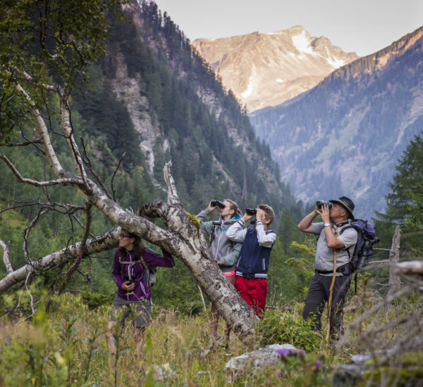 Nationalpark Hohe Tauern 2013-08-06 im Nationalpark Hohe Tauern - Seebachtal