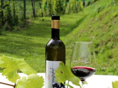 © GABI BROSCHEK NOISTERNIG_grafenBERGERin_Ernestine Berger_Wein © GABI BROSCHEK NOISTERNIG_grafenBERGERin_Ernestine Berger_Wein