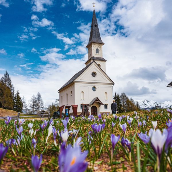 NPR Content Peter Maier115